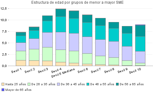 Estructura de edad por grupos de menor a mayor SME