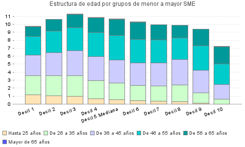 Estructura de edad por grupos de menor a mayor SME