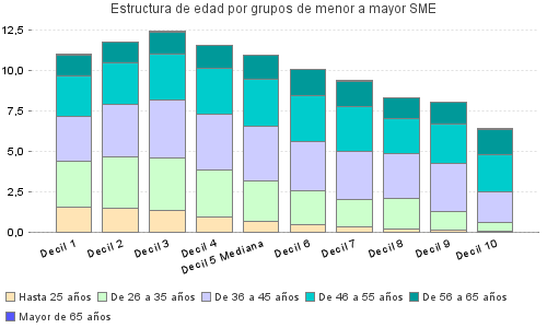 Estructura de edad por grupos de menor a mayor SME