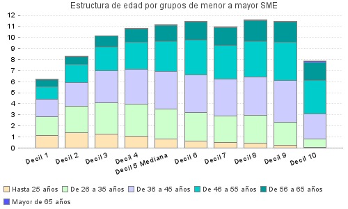 Estructura de edad por grupos de menor a mayor SME