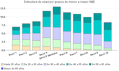 Estructura de edad por grupos de menor a mayor SME