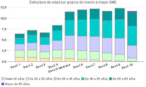 Estructura de edad por grupos de menor a mayor SME