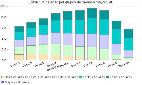 Estructura de edad por grupos de menor a mayor SME