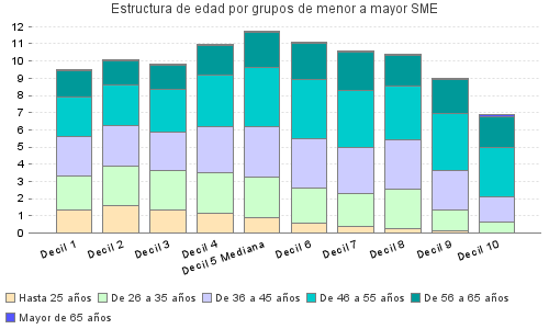 Estructura de edad por grupos de menor a mayor SME