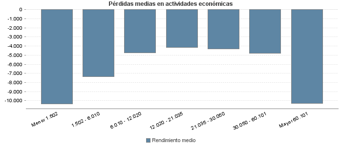 Pérdidas medias en actividades económicas