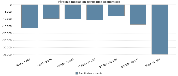 Pérdidas medias en actividades económicas