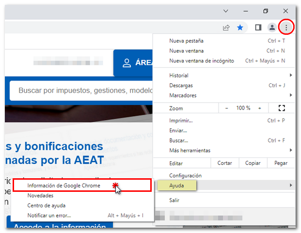 Imagen de versión de Chrome