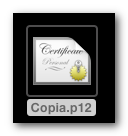 fichero P12 resultante tras efectuar la copia