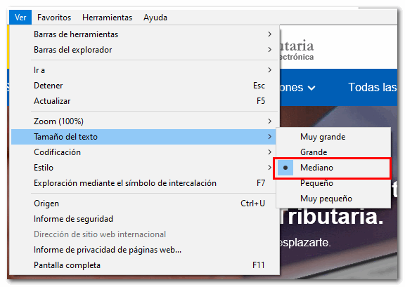 tamaño texto en explorer