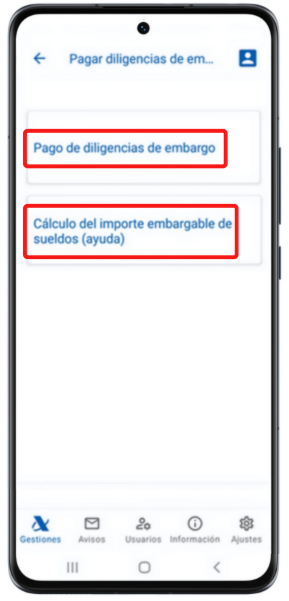 Diligencias de embargo