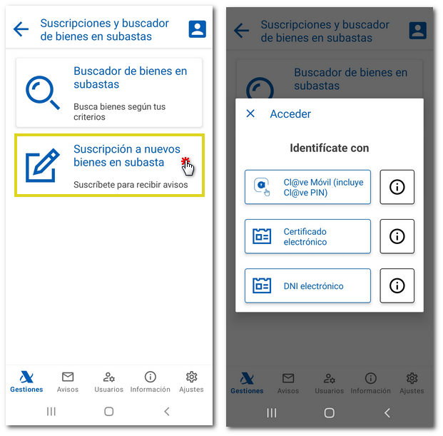 Suscripción a nuevos inmuebles en subasta