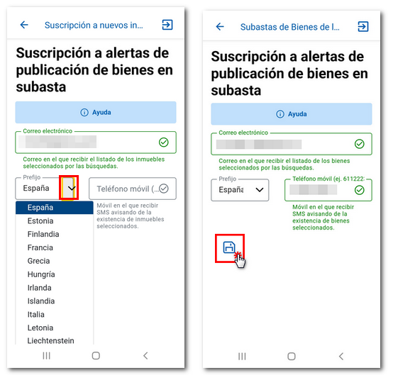 Teléfono y Guardar