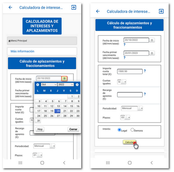 Cumplimenta los datos y pulsa Calcular
