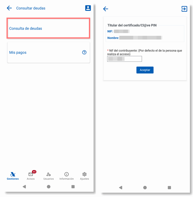 Consultar deudas y Aceptar datos