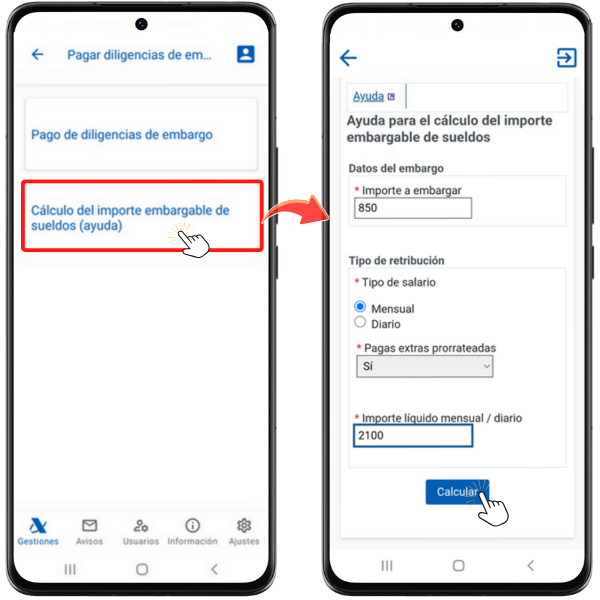 Calcular el importe a embargar