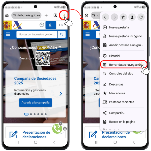 Borrar datos de navegación