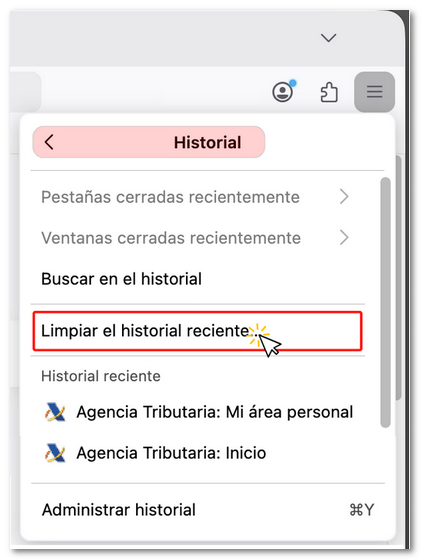 Limpiar historial reciente