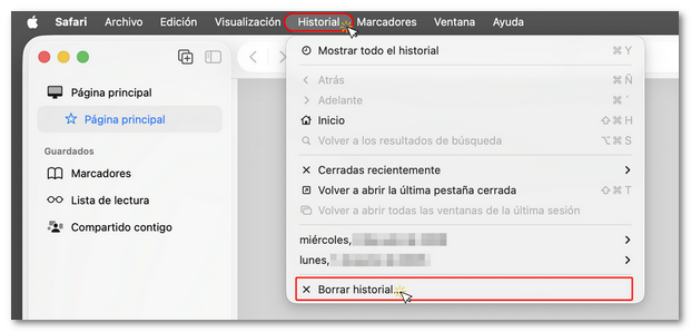 Borrar historial