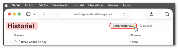 Borrar historial