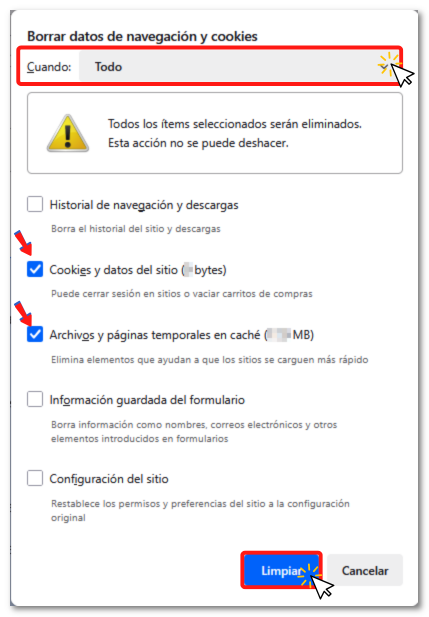 Borrar datos de navegación