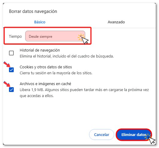 Borrar datos de navegación