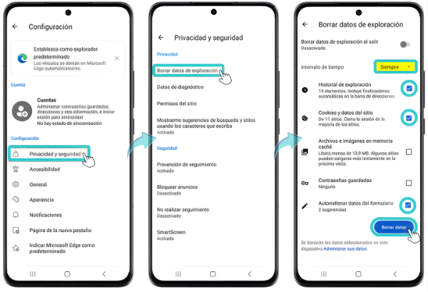 Borrar datos de exploración