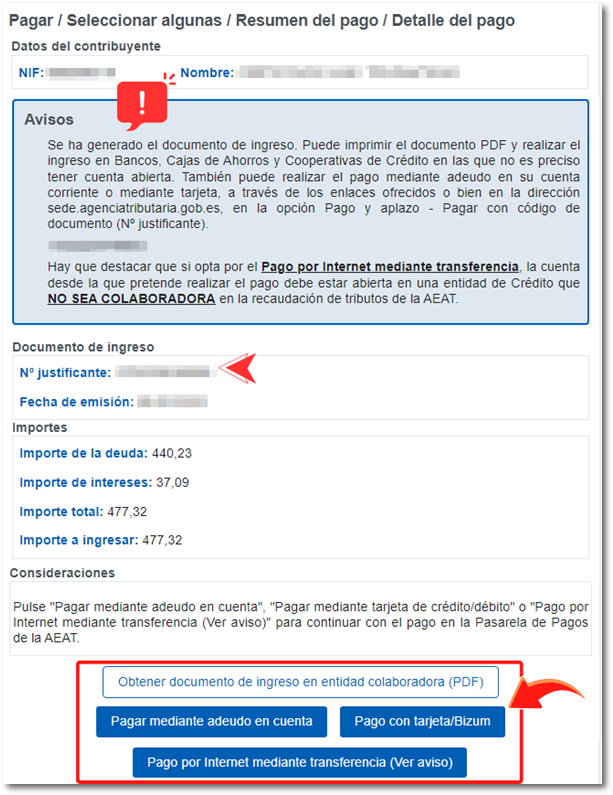 Opciones de pago