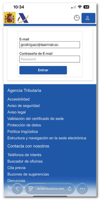 P&aacute;gina falsa, fraude