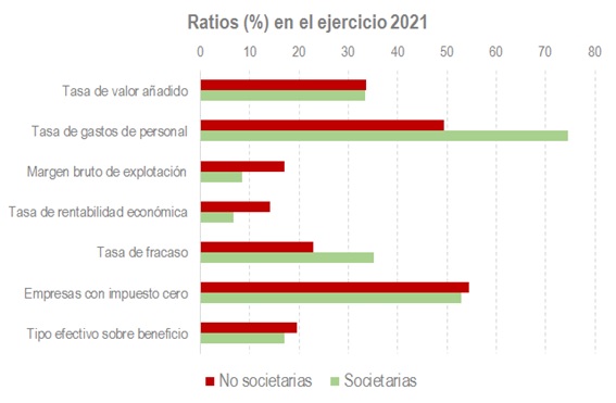 Ratios en el ejercicio 2021